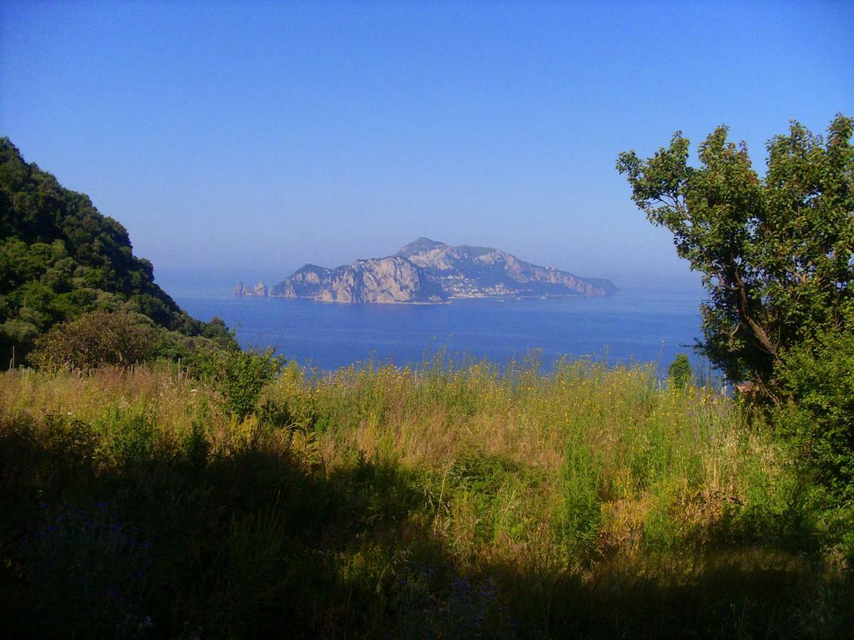 Il Paradiso Degli Dei Agerola Ngoại thất bức ảnh
