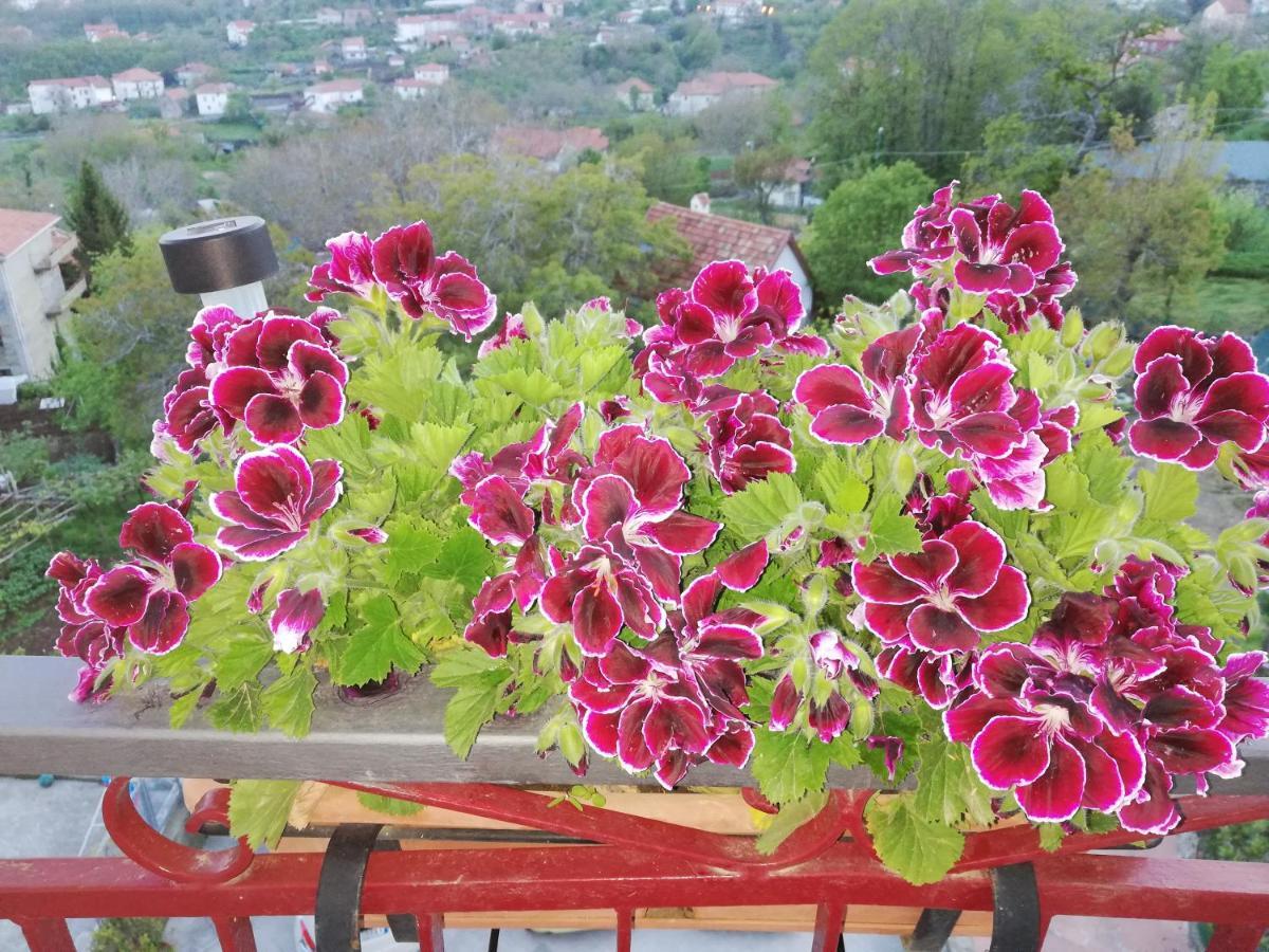 Il Paradiso Degli Dei Agerola Ngoại thất bức ảnh